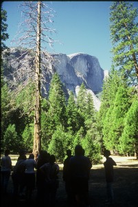 A group of people sitting in the woods near trees.