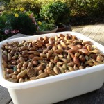 A white container filled with nuts on top of a wooden table.